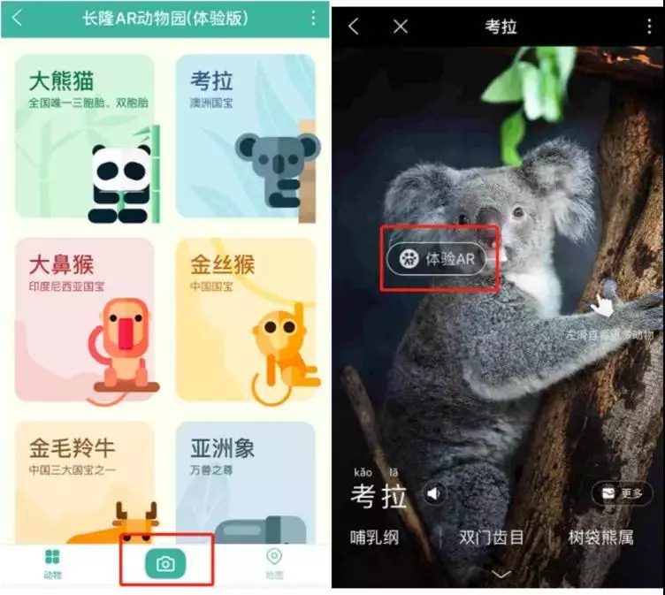 自上线以来,长隆ar动物园智能小程序总启动用户数超过了189万,人均